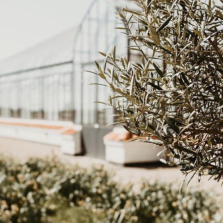 Vejro Resort Eksteriør bilde