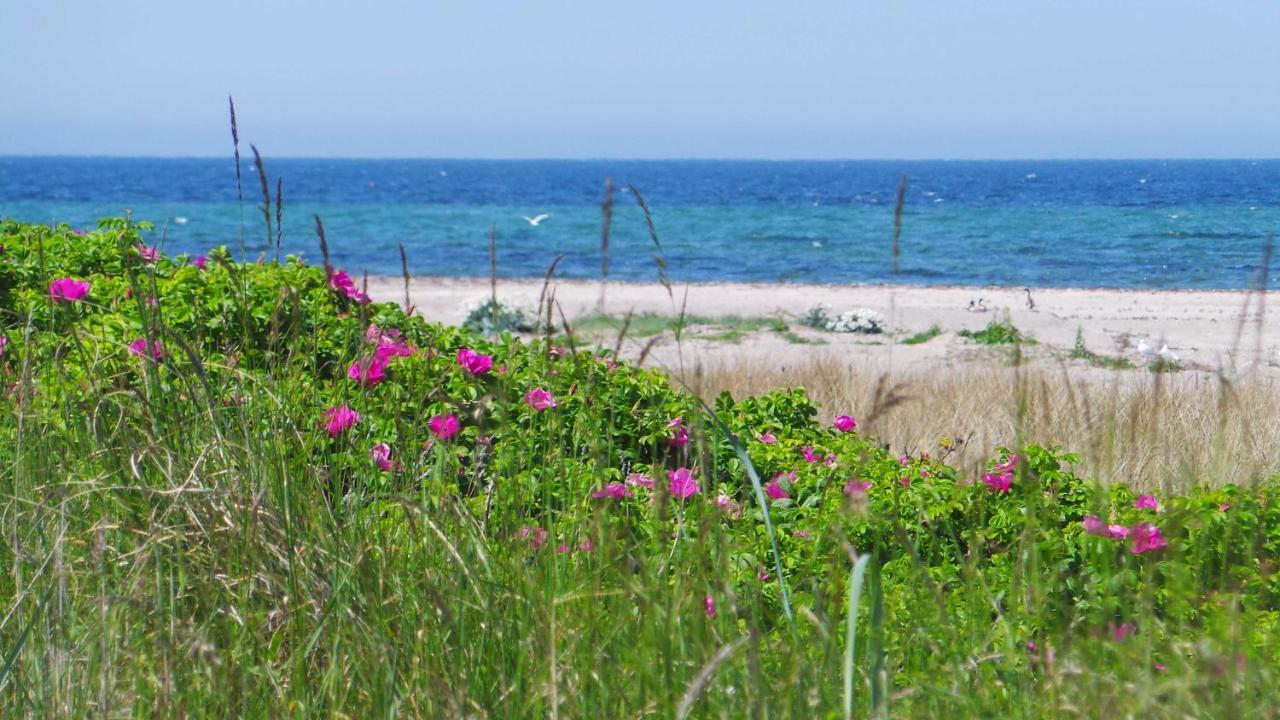 Vejro Resort Eksteriør bilde